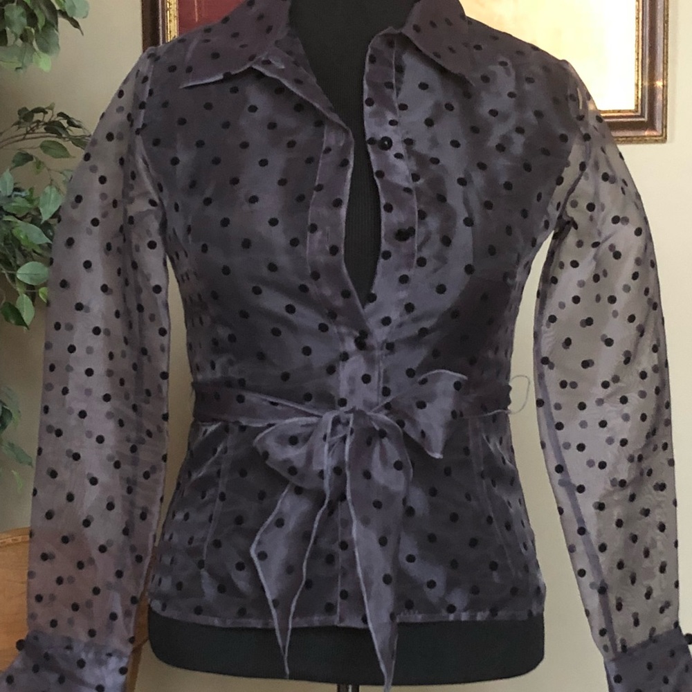 JS Boutique Organza Blouse